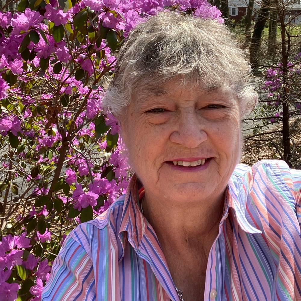 Meet your Posher, Ellen
